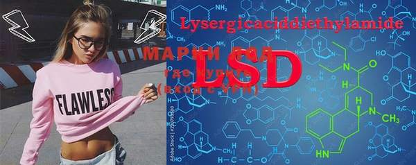 прущие крисы Магас