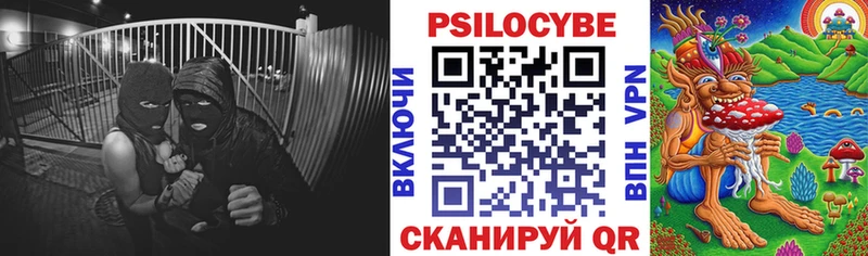 Псилоцибиновые грибы прущие грибы Азнакаево